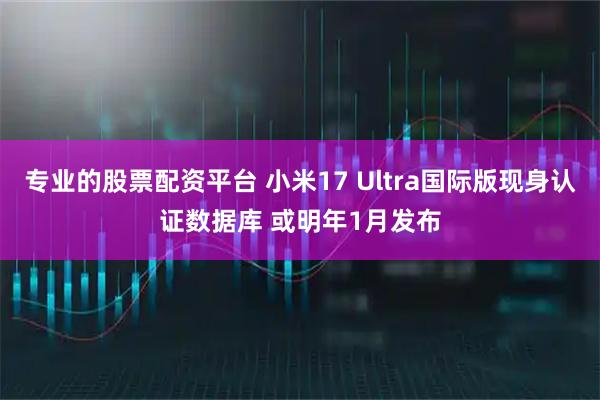 专业的股票配资平台 小米17 Ultra国际版现身认证数据库 或明年1月发布